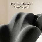 Memory Foam Lumbar Support Cushion for Lower Back & Tailbone Pain Relief | Office Chair Back Pillow